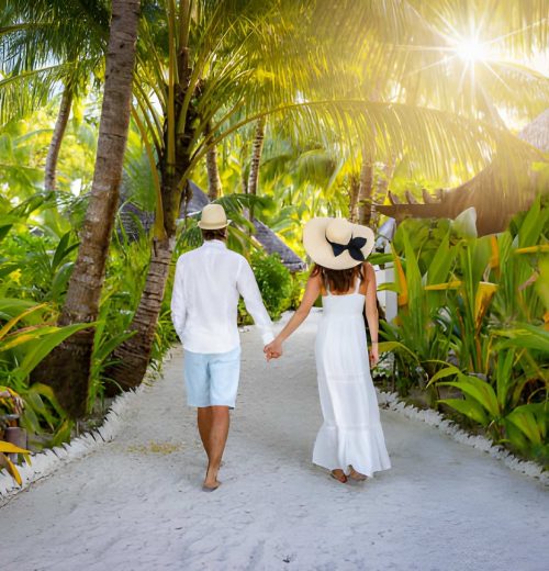 steptodown.com980724